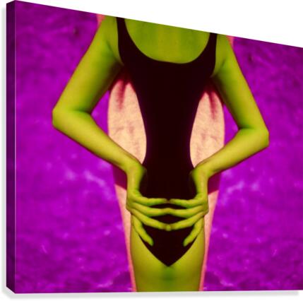 MAGENTA SWAN  Canvas Print