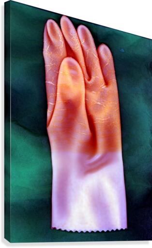 PEACH HAND Canvas Print