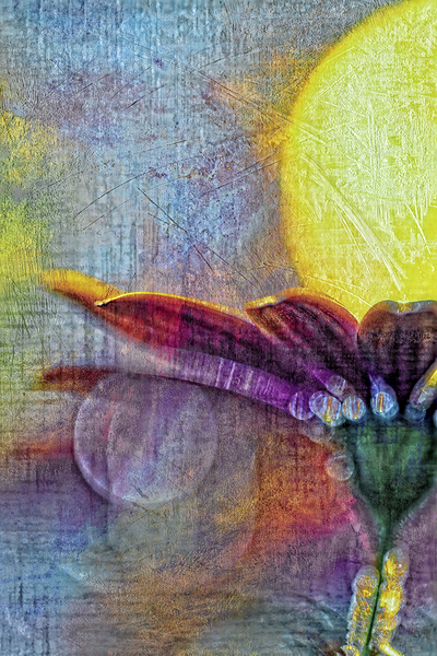 Distressed Daisy In Blue. by Heather Marie Clark