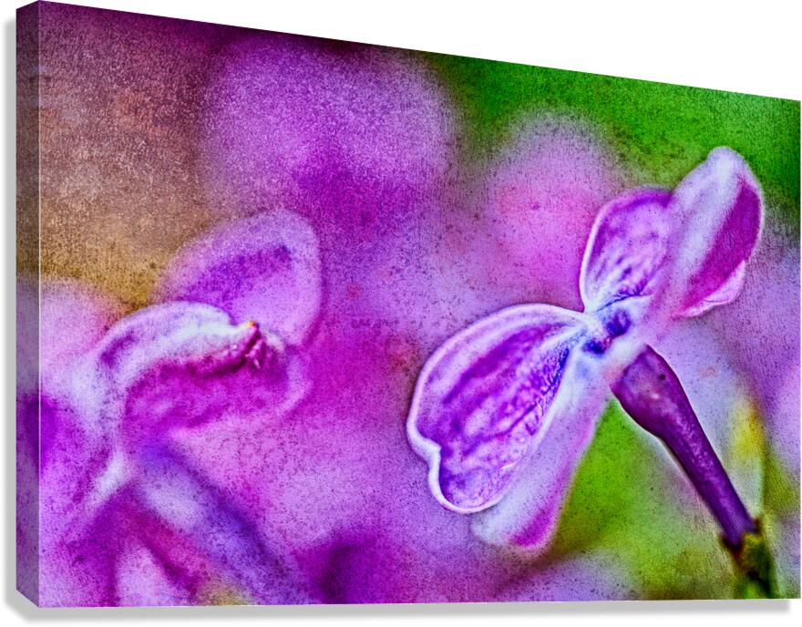 Lilac layered Canvas Print