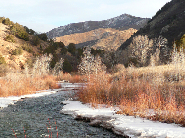 Diamond Fork River Print