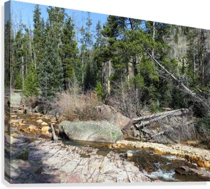 Upper Provo River Canvas Print
