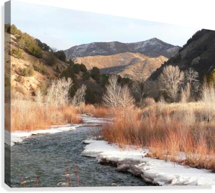 Diamond Fork River Canvas Print