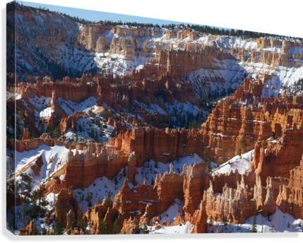 Bryce Canyon Canvas Print