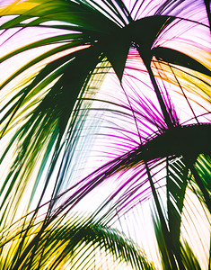 Pikkasso Art - Ultramodern art from top artists 12