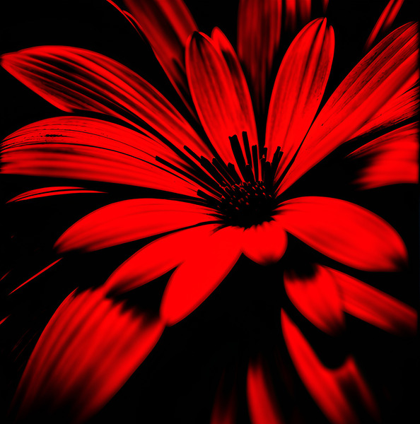 Pikkasso Art - Ultramodern art from top artists 47 by Pikkasso