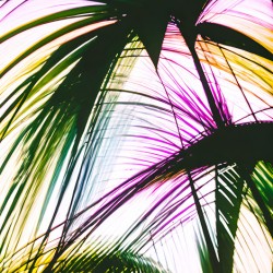 Pikkasso Art - Ultramodern art from top artists 12