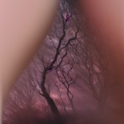 Pikkasso Art - Ultramodern art from top artists 19