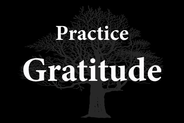 Practice Gratitude 2 Print