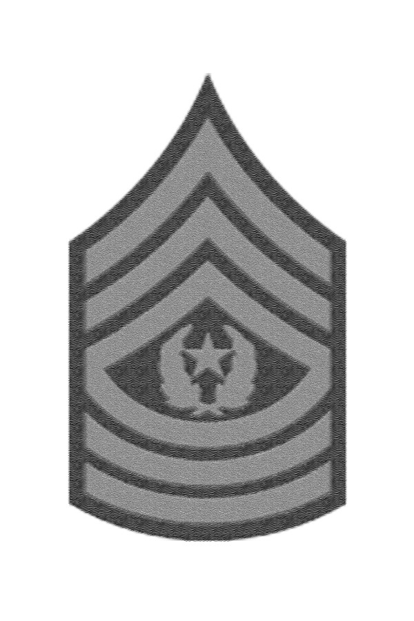 Command Sergeant Major Print