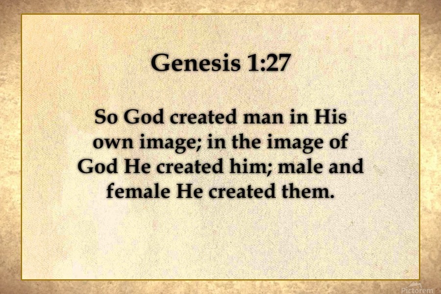 Genesis 1 27 by Scripture on the Walls Wall Art