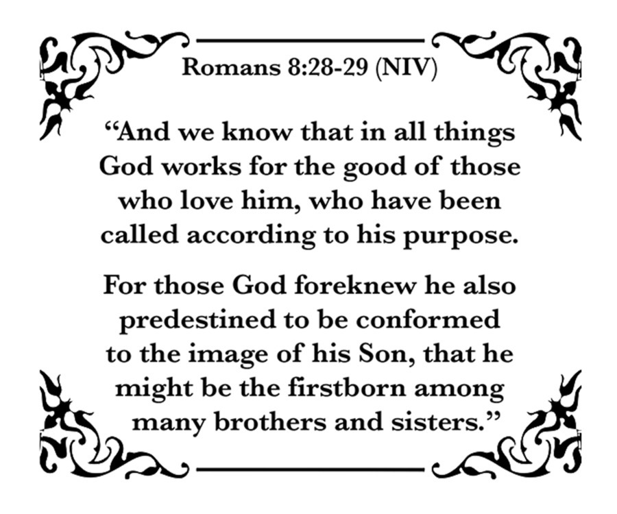 Romans 8 28 29 by Scripture on the Walls Wall Art
