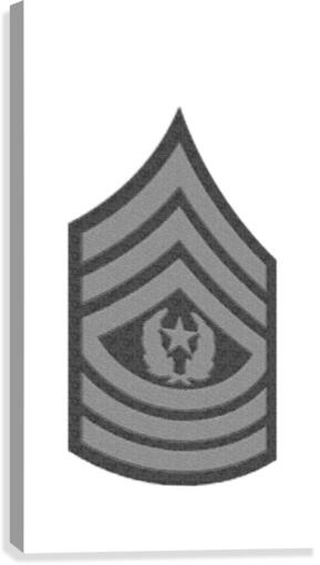 Command Sergeant Major Canvas Print