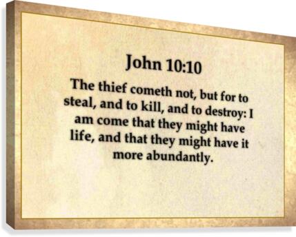 John 10 10 Canvas Print