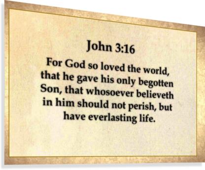 John 3 16 Canvas Print