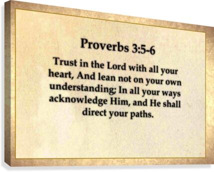 Proverbs 3 5 6 Canvas Print
