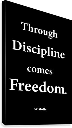 Through Discipline 2 Canvas Print