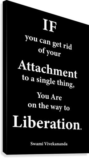 Liberation 2 Canvas Print