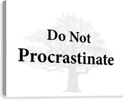 Do Not Procrastinate Canvas Print