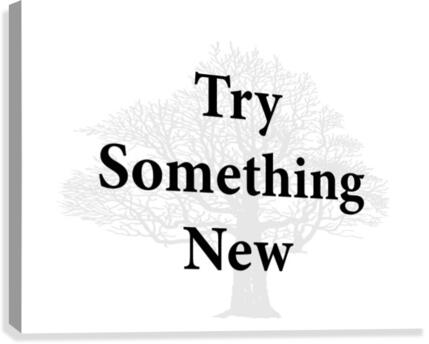Try Something New Canvas Print