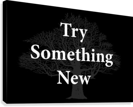 Try Something New 2 Canvas Print