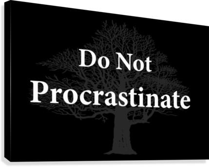 Do Not Procrastinate 2 Canvas Print