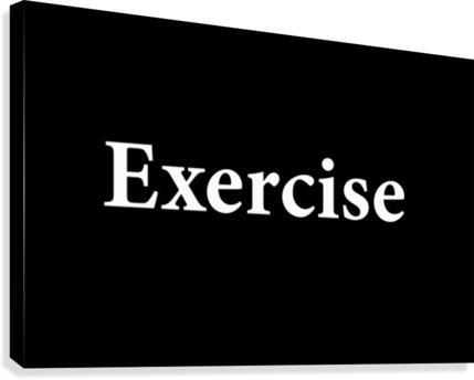 EXERCISE 2 Canvas Print