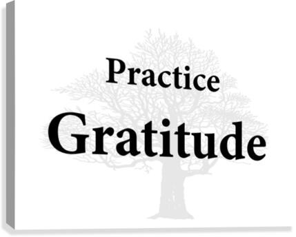 Practice Gratitude Canvas Print