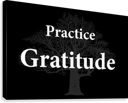 Practice Gratitude 2 Canvas Print