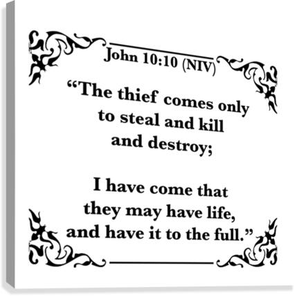 John 10 10 Canvas Print
