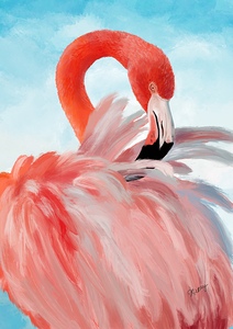 Flamant rose  Flamingo