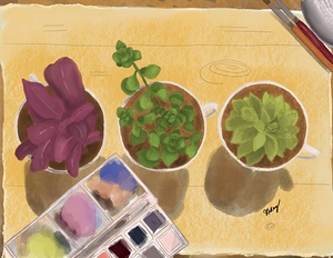 Mes plantes 