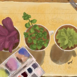 Mes plantes 