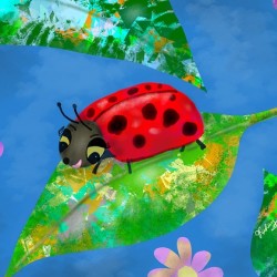 Cocci la coccinelle 