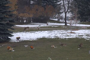 No respect for the dead