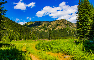 Peaceful trail
