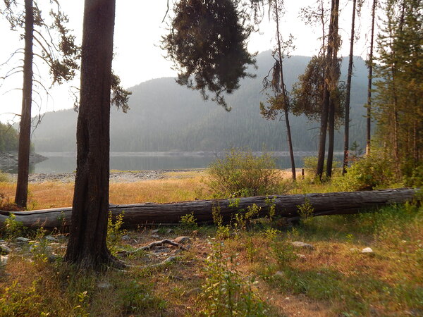Foggy Lake by Dustin Rogers