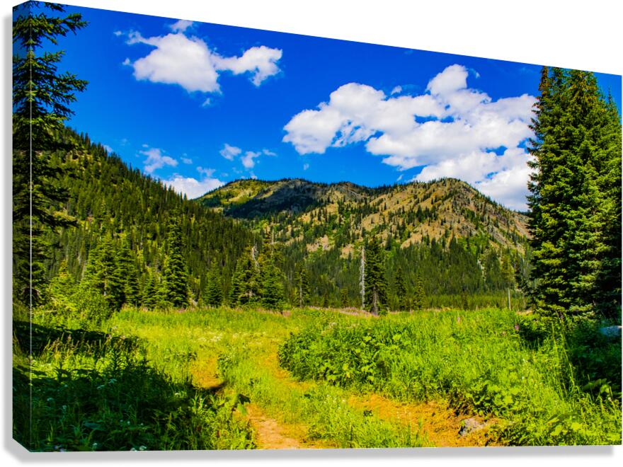 Peaceful trail Canvas Print