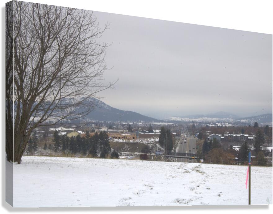 A better view Canvas Print