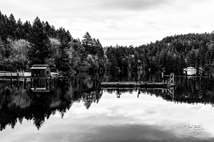 January at Gowland   Tod