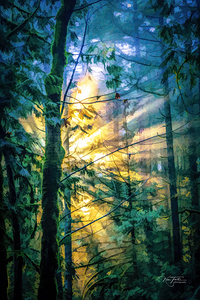 Waiting for the Light