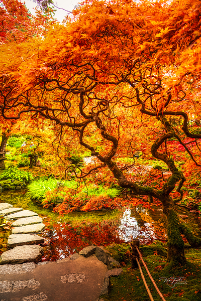 Path to the Left by KenFoster Photography