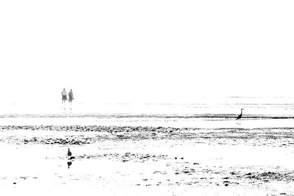 Beach Triangle by KenFoster Photography