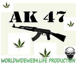 AK 47