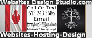 websitesdesignstudio.com