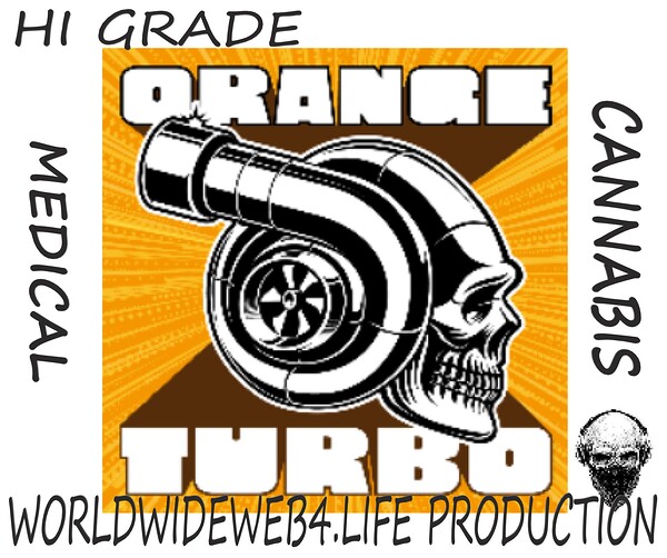 ORANGE TURBO Print