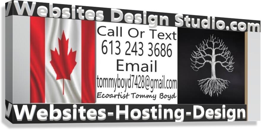 websitesdesignstudio.com Canvas Print