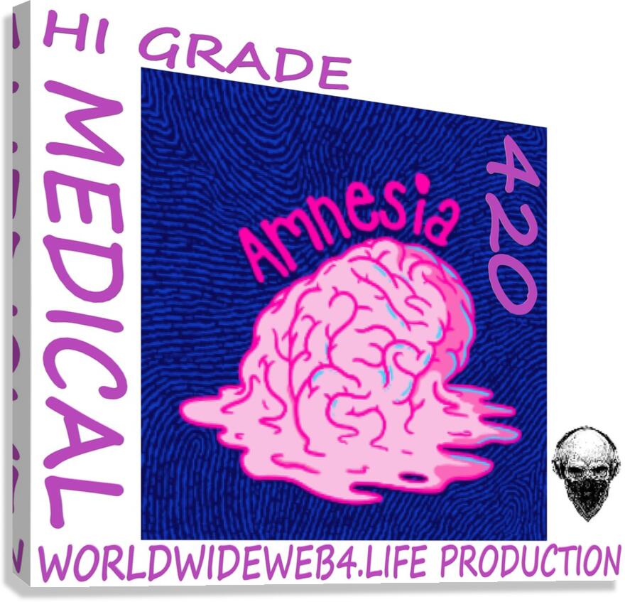 AMNESIA Canvas Print