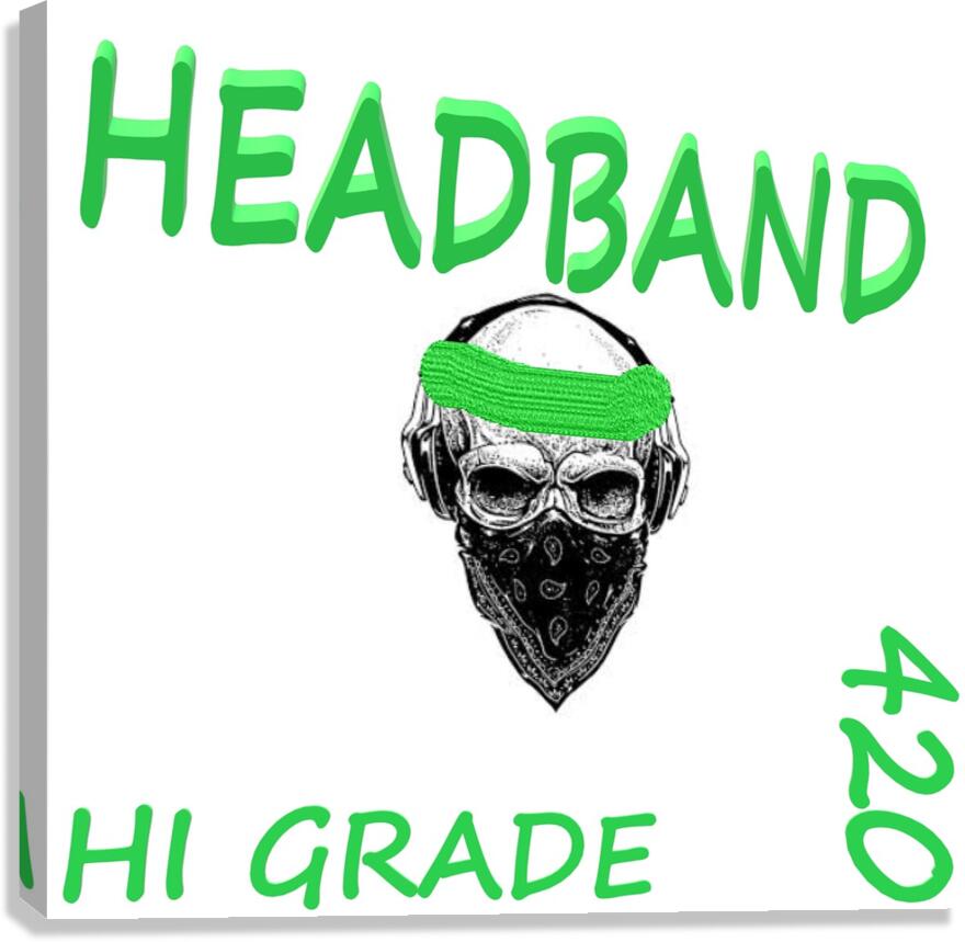HEADBAND Canvas Print