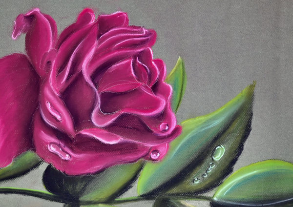Magenta Rose Print